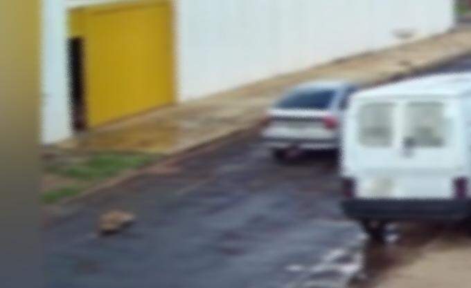VÍDEO: Cachorro é amarrado por corda e arrastado por carro na Vila Nhanhá