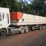 Empresa é multada em R$ 10 mil devido a carga de 28 m³ de madeira ilegal