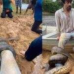 VÍDEO mostra o momento em que sucuri foi enrolada na perna de ator da Globo em Pantanal