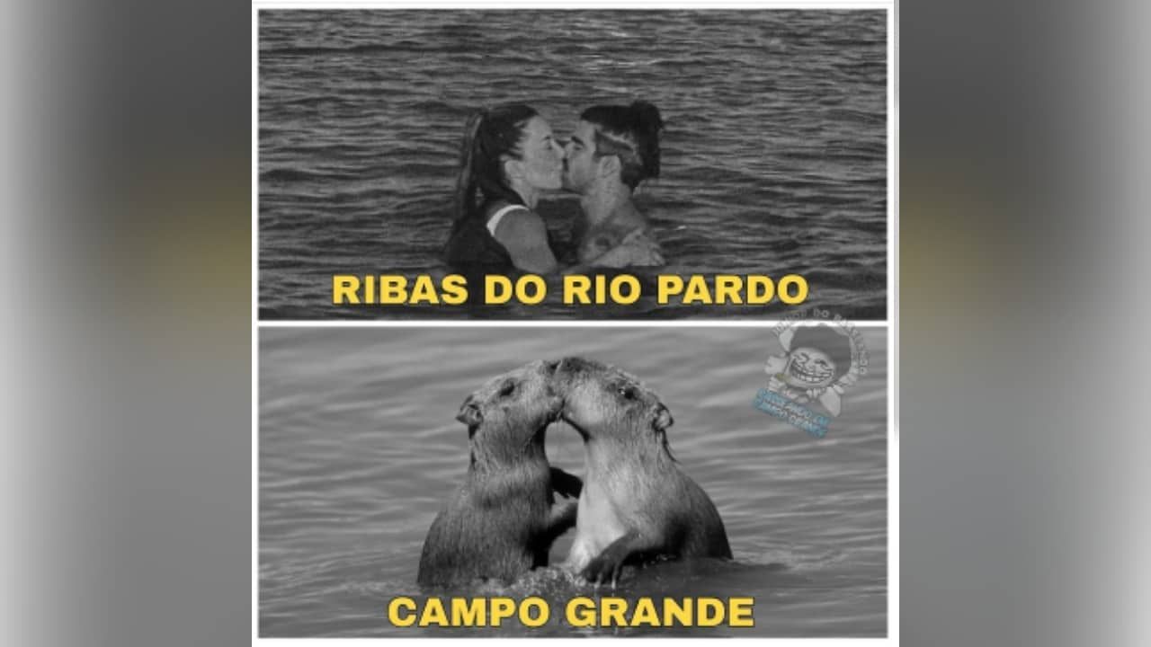 meme da capivara