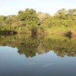 Sistema pesque e solte no Parque Estadual do Pantanal do Rio Negro é autorizado em MS