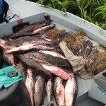 Na véspera da Páscoa, paraguaios são presos em MS com 170 kg de pescado