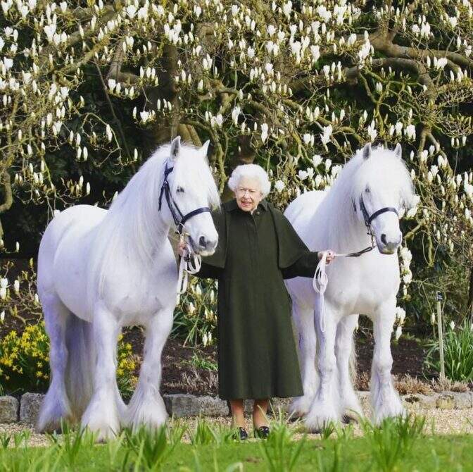 received 1422529214834153 - Foto oficial da rainha Elizabeth II na véspera do seu 96° aniversário.