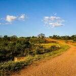 Adolescente é encontrada por caminhoneiro desorientada em estrada vicinal no interior de MS