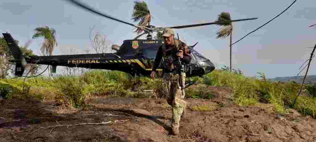 Operação entre Brasil e Paraguai já destruiu 836 toneladas de maconha na fronteira em 12 dias