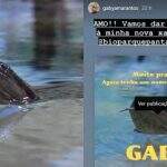 Até Gaby Amarantos comemora nome de sucuri no Aquário do Pantanal: ‘minha nova xará’