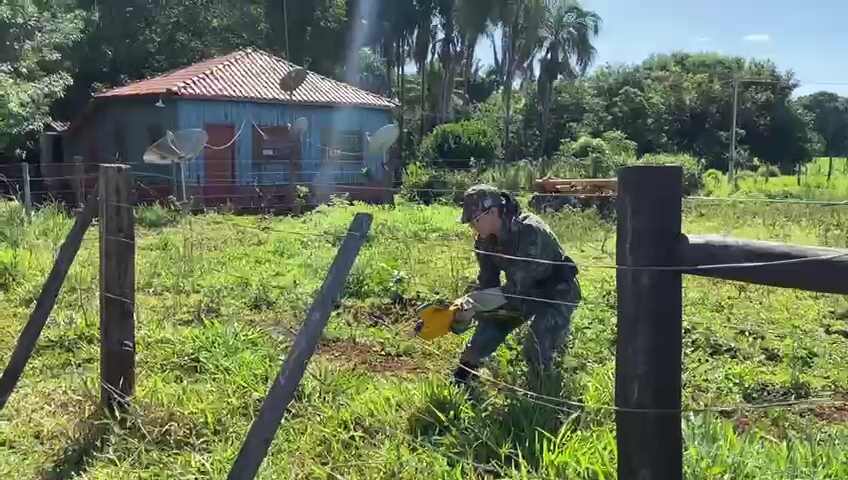 VÍDEO: Arara com asa quebrada é resgatada em pousada de Campo Grande