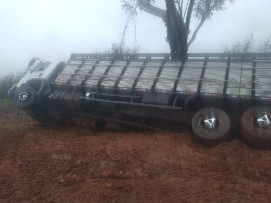 Bois morreram após caminhão tombar em estrada