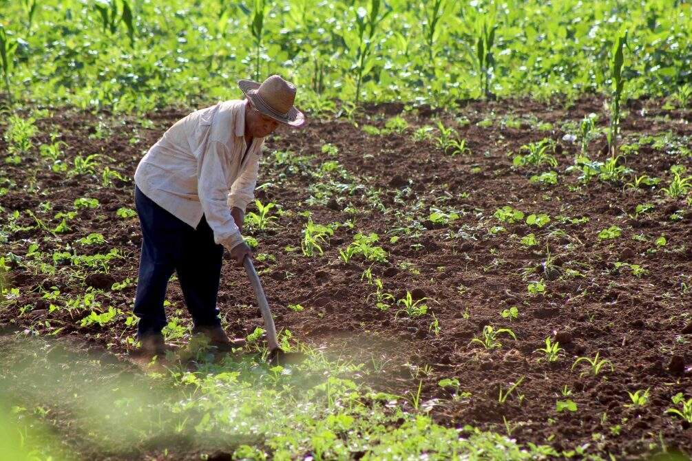 agricultor foto marcos erminio - Patrulha no campo: estratégia em MS reduz migração de bandidos, furtos de gado e sistema de 'colheitadeiras milionárias'