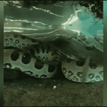 VÍDEO: Sucuri ‘gigante’ de 3 metros é espetáculo avistado nas águas cristalinas de Bonito
