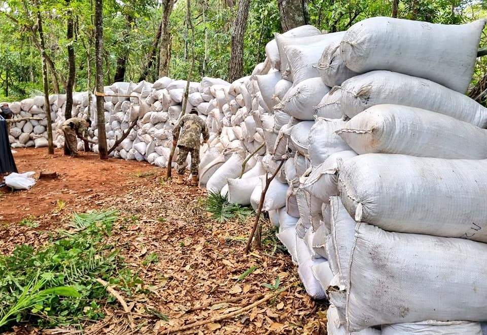 Mais de 50 toneladas de maconha são apreendidas na região de fronteira