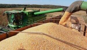Projeto reduz ICMS do milho e da soja