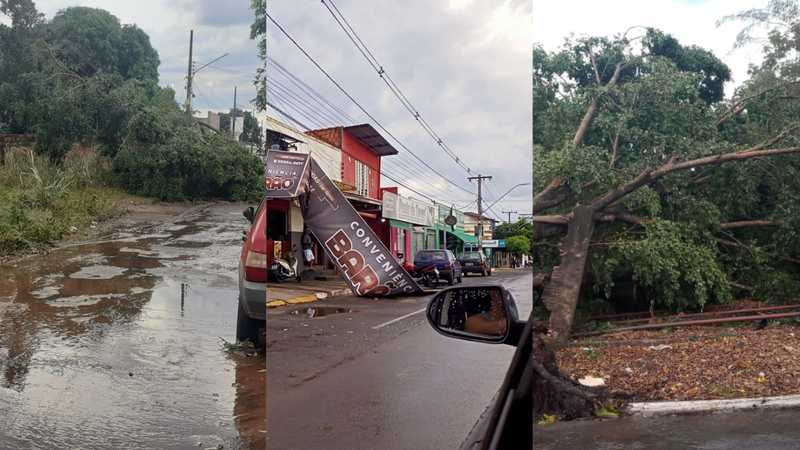 miranda 2 - De casas destelhadas a queda de árvores: temporal deixou rastro de destruição em Miranda