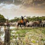 10 coisas que deixariam a novela Pantanal mais fiel ao jeito sul-mato-grossense