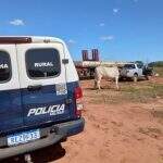 Polícia apreende autor de furto em carreta na área rural