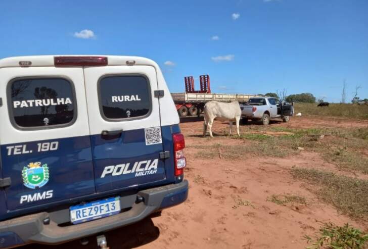 Polícia apreende autor de furto em carreta na área rural