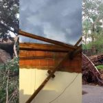 Temporal destelhou casas e derrubou árvores, em Miranda