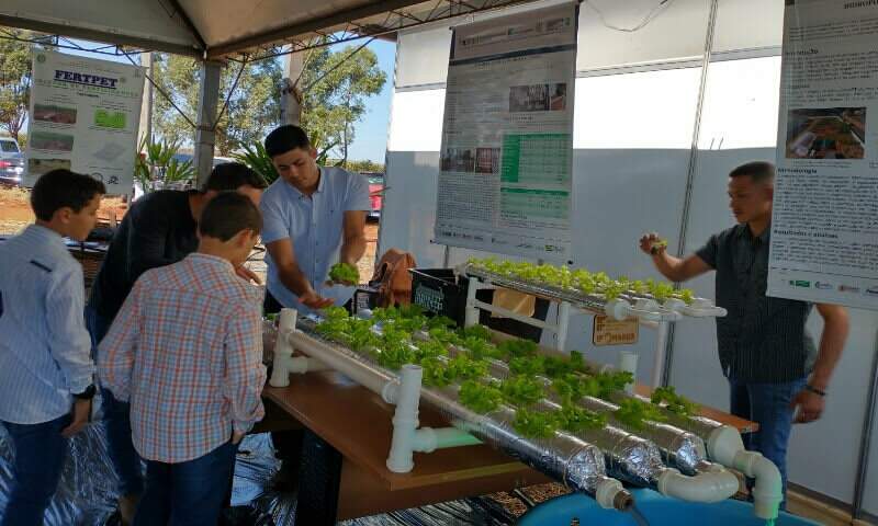 Estudantes do IFMS realizam exposição de projetos em feira de agronegócio