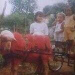 Nostalgia pura: tirar foto com ovelha colorida era sonho infantil na década de 80 em Campo Grande