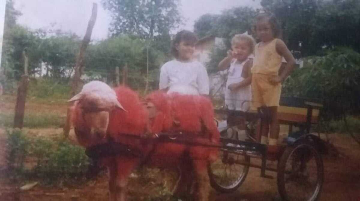 Foto com ovelha colorida