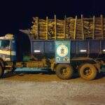 Caminhão com madeira ilegal é apreendido na MS-339