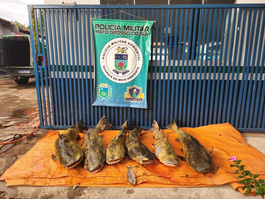 PMA apreende 110 kg de pescado e autua pescador profissional em R$ 3 mil