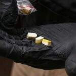 Operação desmonta rede de distribuição de drogas sintéticas e cogumelos alucinógenos no Paraguai