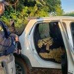 Após perseguição, PRF apreende 805 kg de maconha em pick-up furtada na BR-267