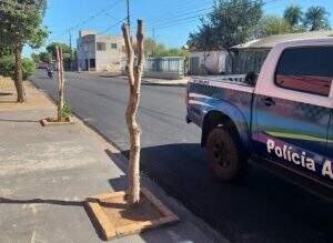 Divulgação