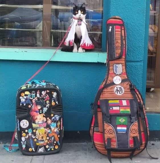 WhatsApp Image 2022 06 15 at 14.20.17 1 e1655317363524 - Violonista clássico e cosplayer: Viajante corre a América do Sul com seu gato a tiracolo