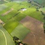 97,2% das propriedades rurais de Mato Grosso do Sul têm cadastro ambiental rural