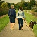 STJ começa a decidir sobre pensão para pets após separação de casal