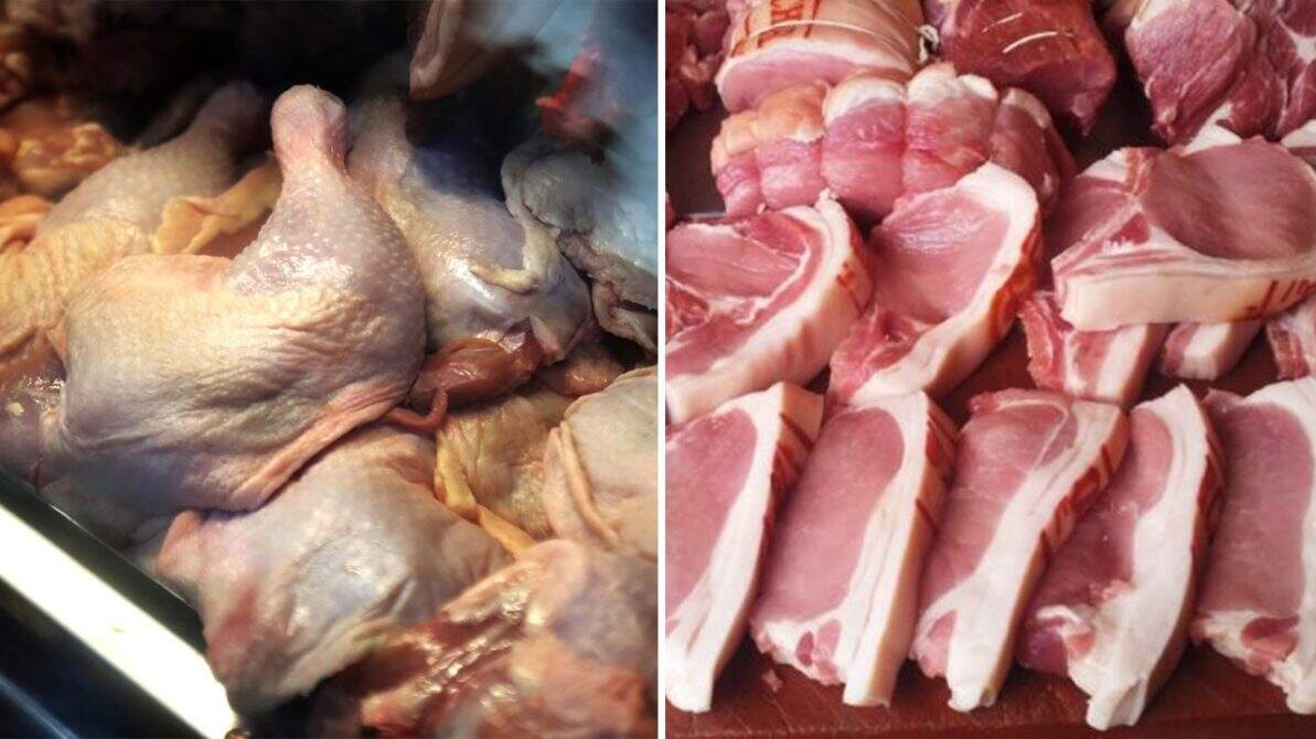 IBGE aponta aumento no abate de porcos e frangos no primeiro trimestre deste ano em MS