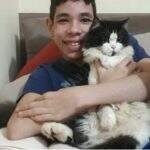 ‘Xodó’ do filho autista, família procura por gato desaparecido no bairro Monte Castelo