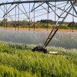 MS sedia encontro sobre tecnologias e sustentabilidade na agricultura irrigada