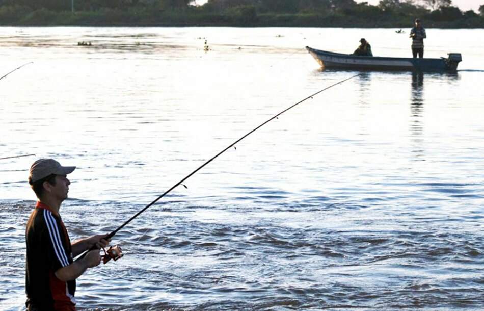 pesca desembarcada - No Dia do Pescador, entenda por que MS é um Estado bom de peixe