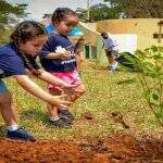 Crianças plantam mais de 100 mudas de ipês no Parque dos Poderes em comemoração ao Dia do Meio Ambiente