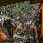 Ventania de 83 km/h derruba árvore na Vila Popular e deixa casas sem energia elétrica