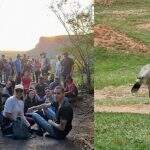 VÍDEO: Estudantes de SP visitam Pantanal e ganham ‘show particular’ de seriemas