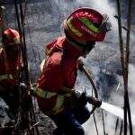 Onda de calor extenuante provoca incêndios florestais na Europa
