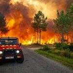 Incêndios florestais queimam mais de 1.700 hectares na França 