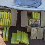 Polícia encontra 55 kg de cocaína em carro com avô, mãe e filhos que seguia para Campo Grande