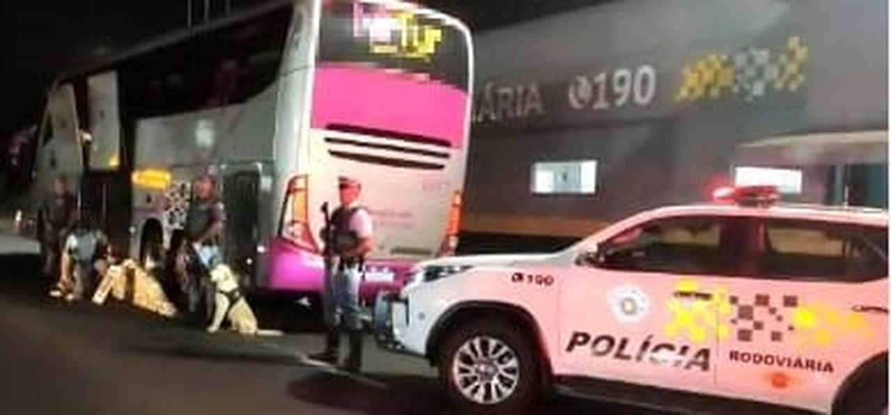 Ônibus de MS é apreendido com quase 100 quilos de cocaína em SP