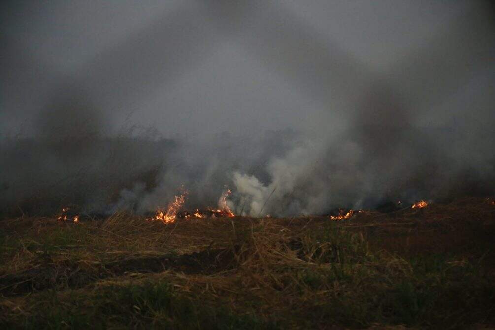 WhatsApp Image 2022 07 05 at 17.23.51 - Incêndio em vegetação avança e fogo chega a área do Aeroporto Internacional de Campo Grande