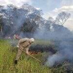 Ainda em recuperação, Pantanal de MS ‘se prepara’ para mês mais crítico para incêndios