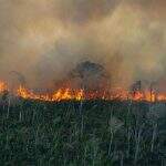 Amazônia e Cerrado registraram recordes no número de queimadas, aponta Inpe