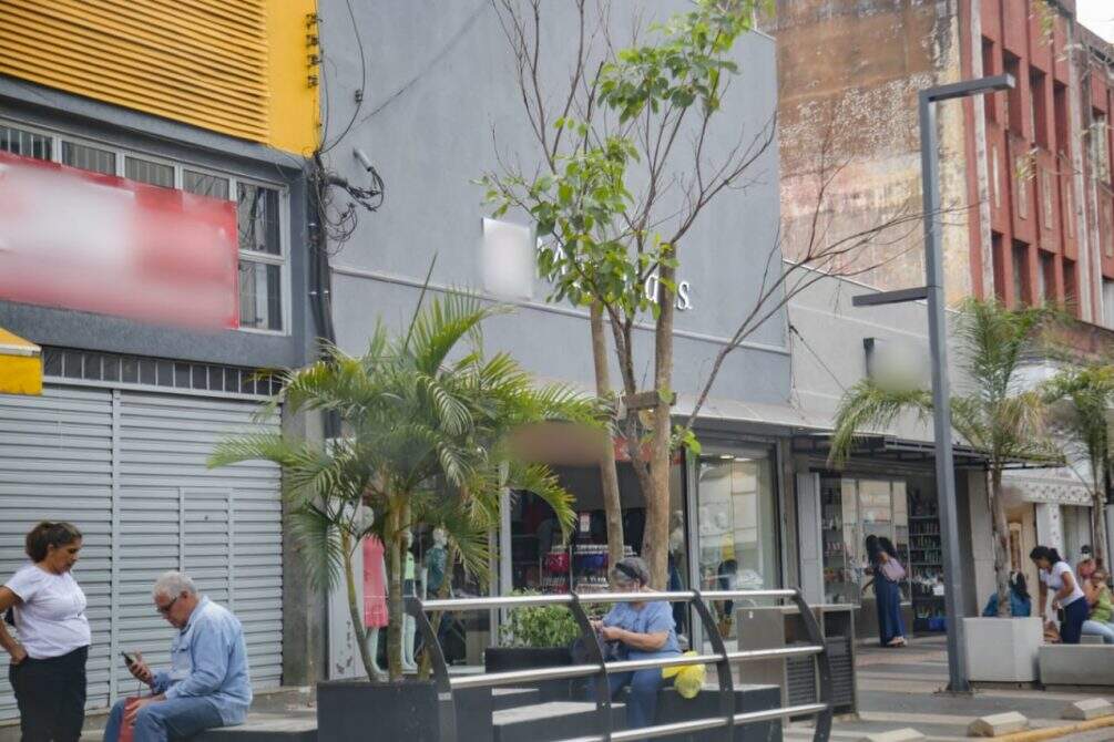 arvores3 - Plantio de árvores chama atenção de moradores no Centro de Campo Grande