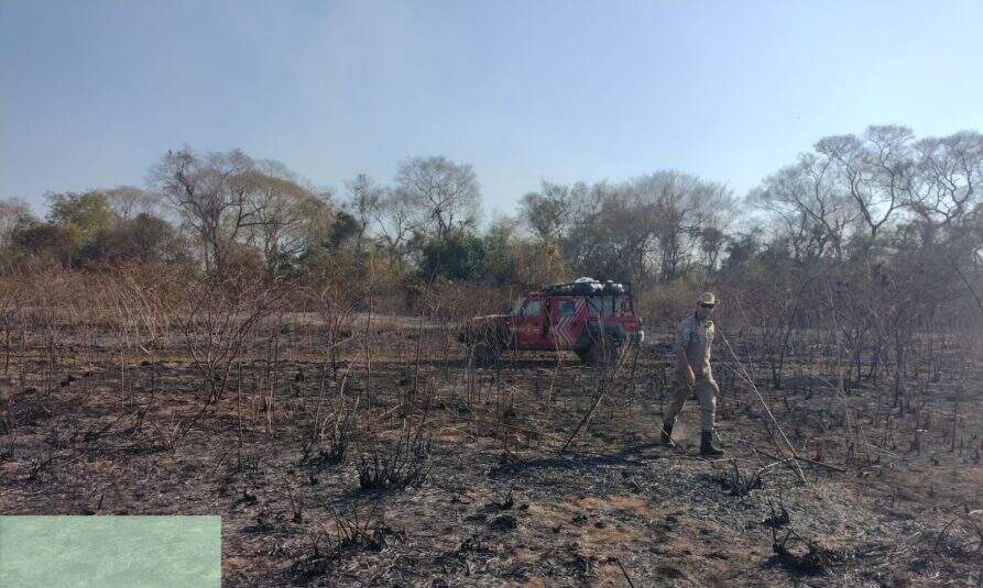 Focos de incêndio superam registros do ano passado e mais de 70 bombeiros atuam na Operação Pantanal