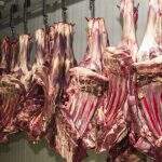 Exportações de carne bovina de MS ultrapassam 110 mil toneladas no 1º semestre