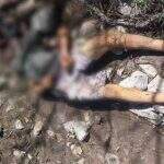 Corpo de homem é encontrado ao lado de pedras ensanguentadas em área de mata